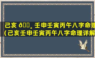 己亥 🌸 壬申壬寅丙午八字命理（己亥壬申壬寅丙午八字命理详解）